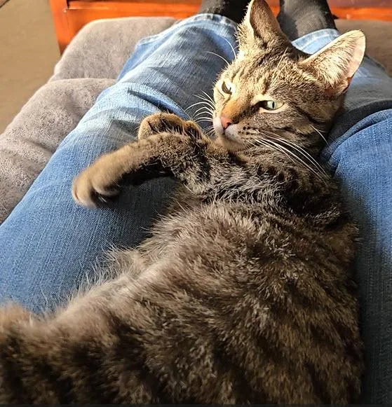 Holly Jolly thumbnail 2