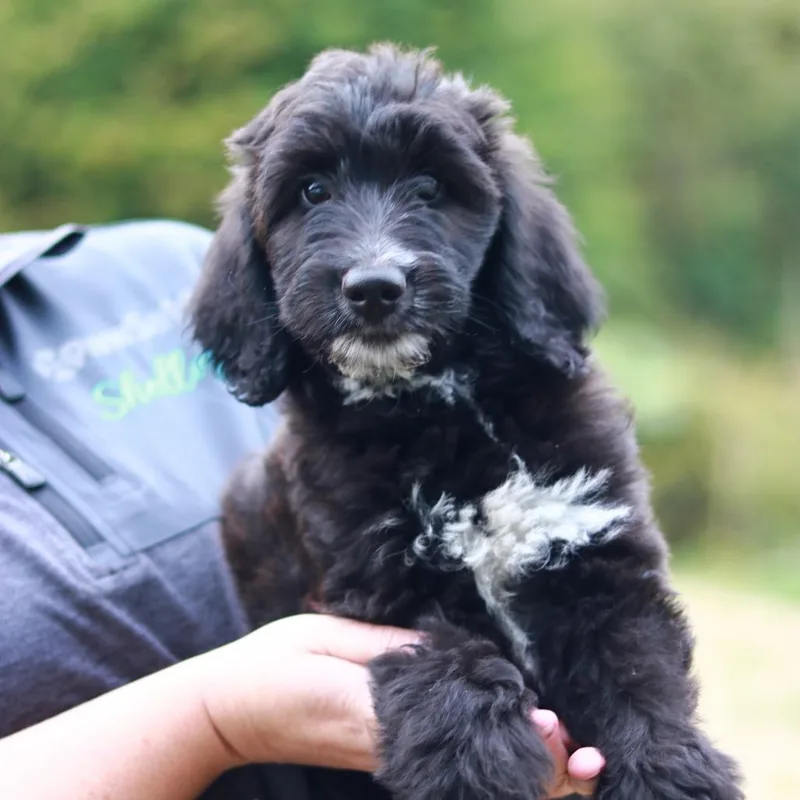 CT Rocky avail Sep thumbnail 2