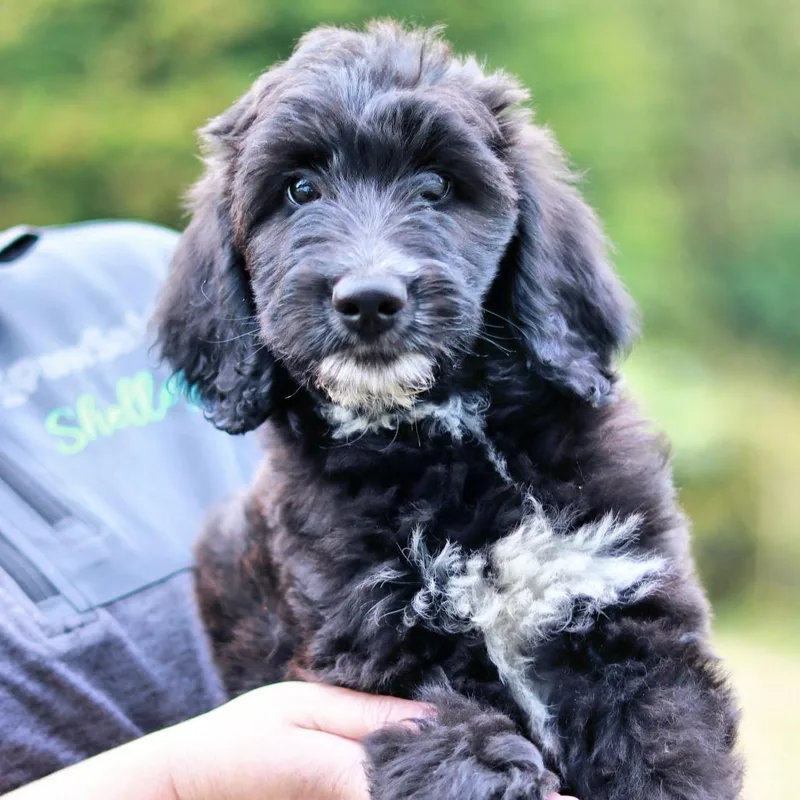 CT Rocky avail Sep thumbnail 3