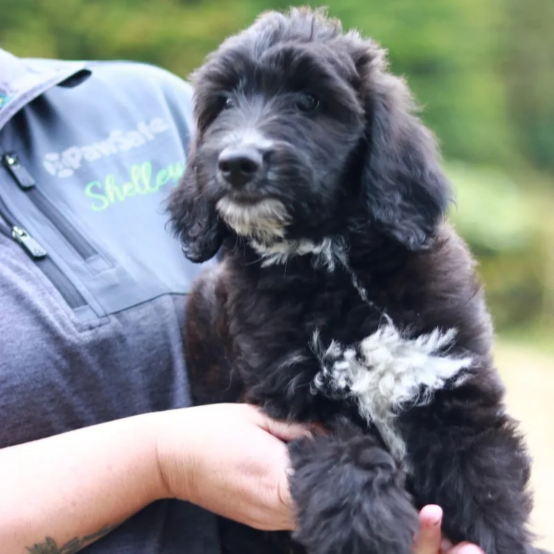 CT Rocky avail Sep thumbnail 4