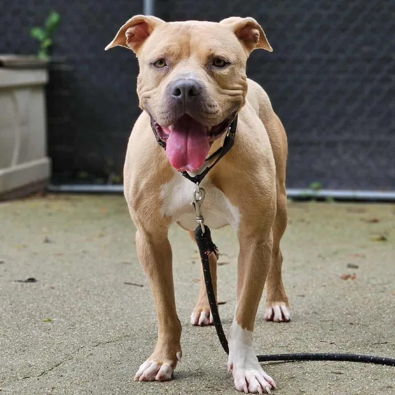 Tater Keg thumbnail 3