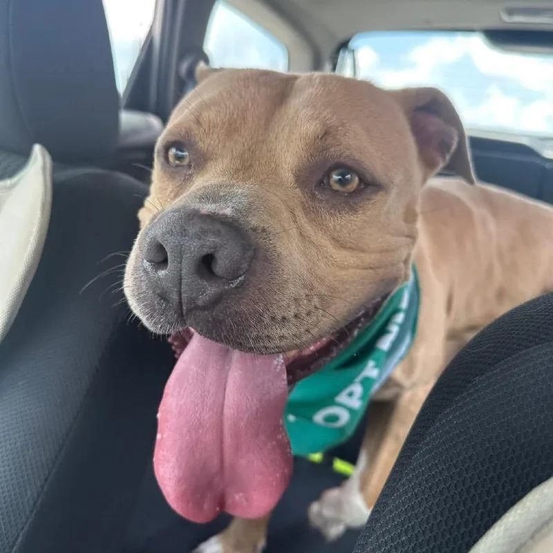 Tater Keg thumbnail 4