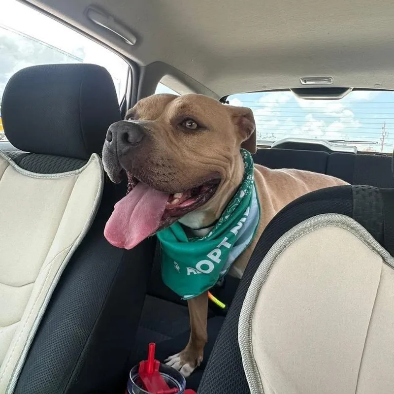 Tater Keg thumbnail 6