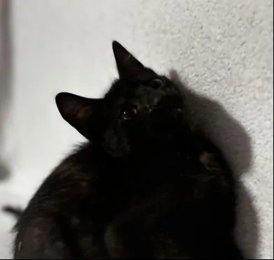 Julie thumbnail 3