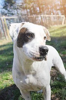 Dottie thumbnail 4