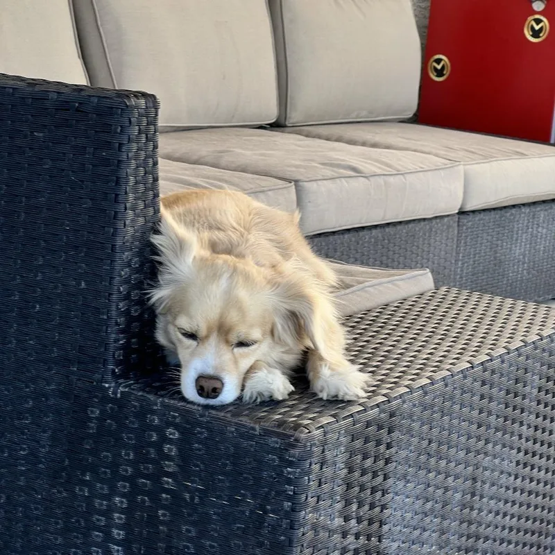 Princess thumbnail 4