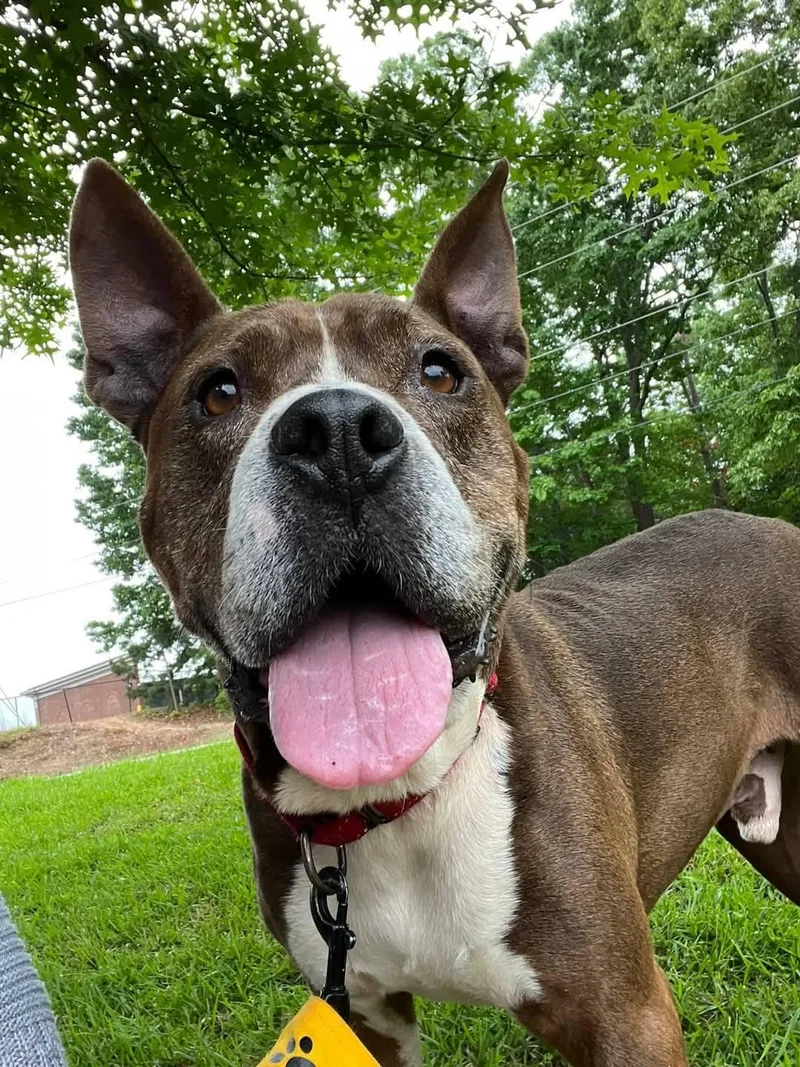 Bernie Big Ol' Happy thumbnail 2