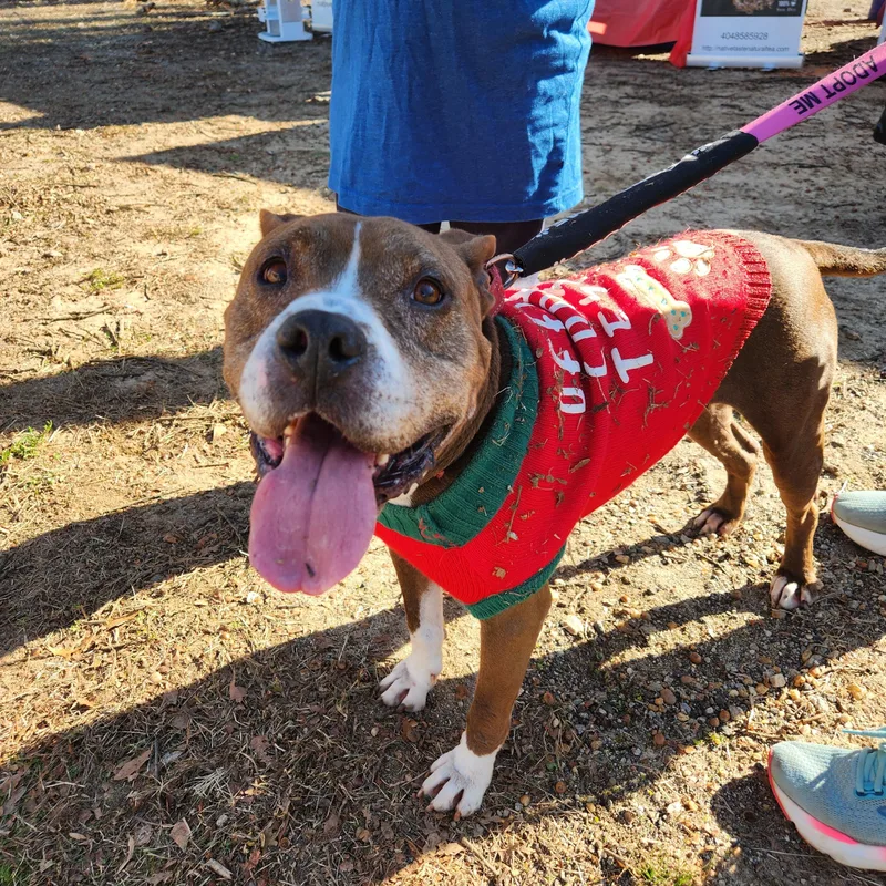 Bernie Big Ol' Happy thumbnail 3