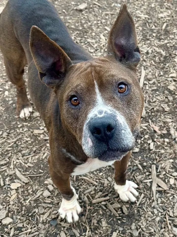 Bernie Big Ol' Happy thumbnail 5