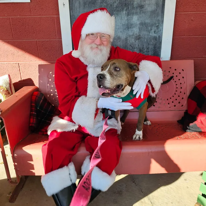 Bernie Big Ol' Happy