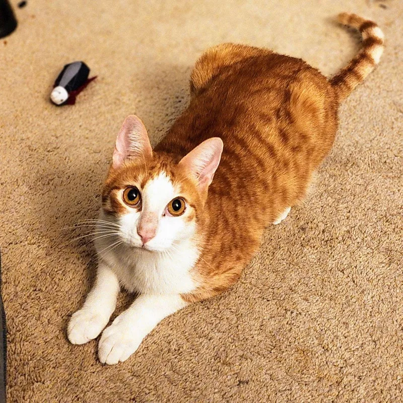 Calvin Klein thumbnail 3