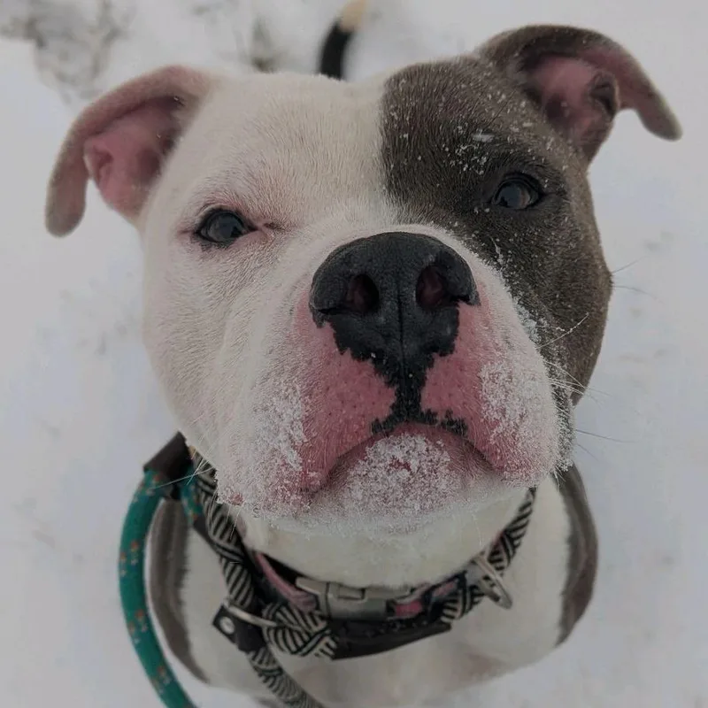 Kid Cudi thumbnail 2