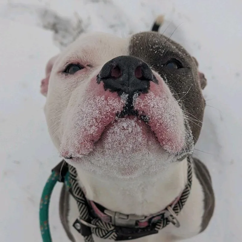 Kid Cudi thumbnail 3