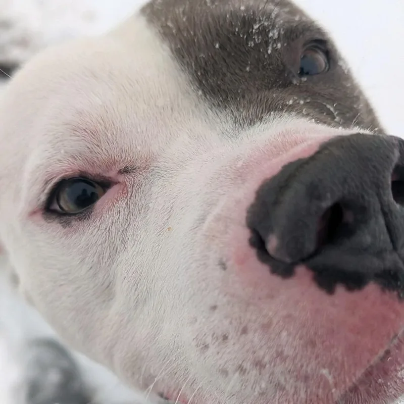 Kid Cudi thumbnail 4