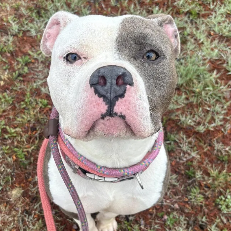 Kid Cudi thumbnail 5