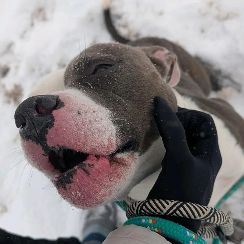 Kid Cudi thumbnail 6