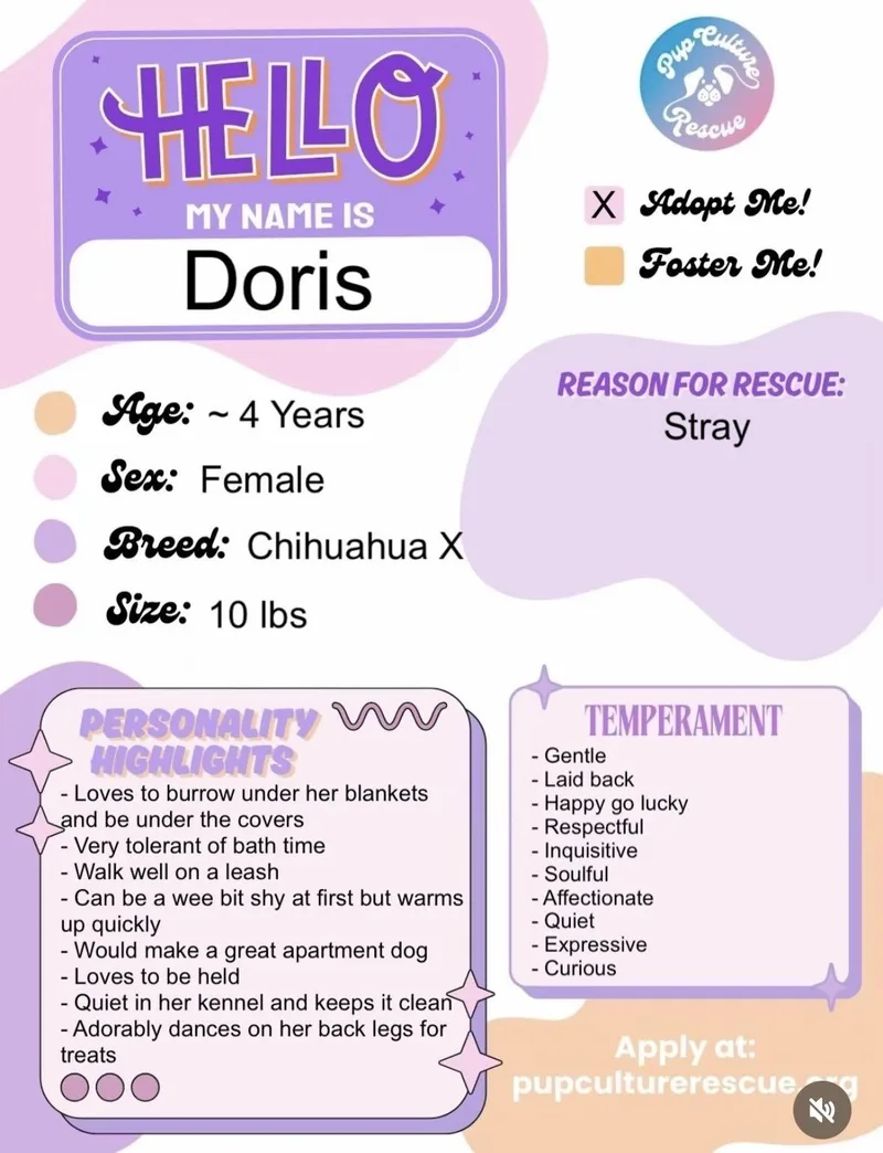 Doris thumbnail 3