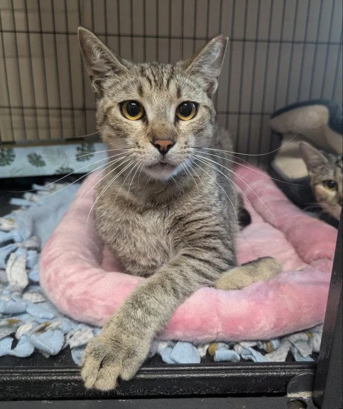 Kalahari thumbnail 2