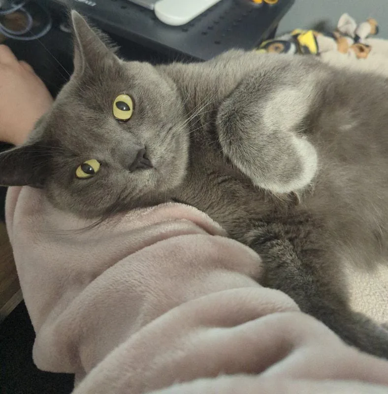 Hutch thumbnail 5