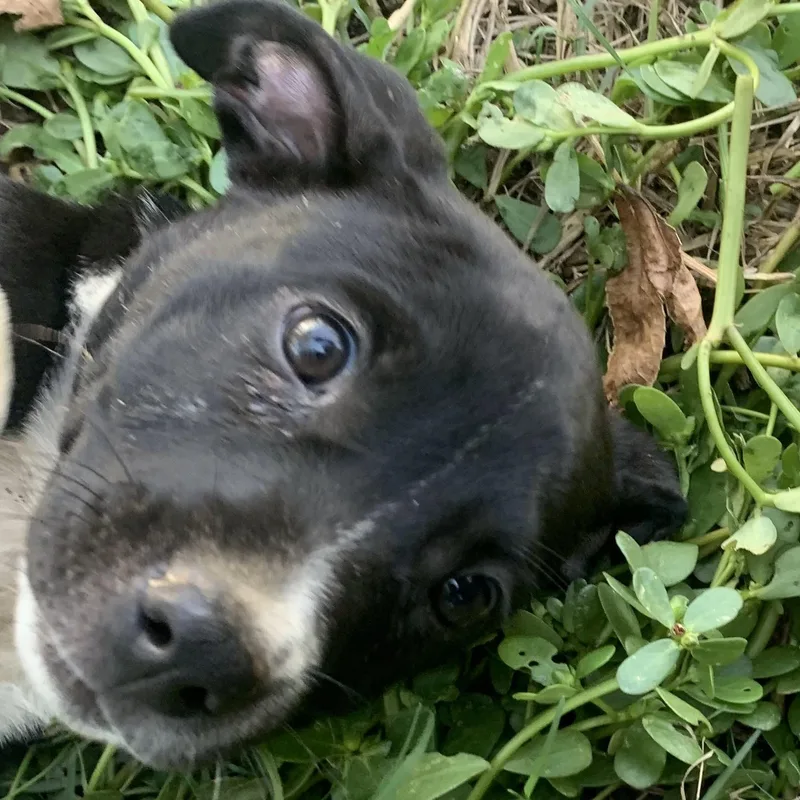 Lexi thumbnail 6