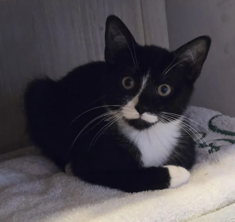 Dilly & Dally  thumbnail 2