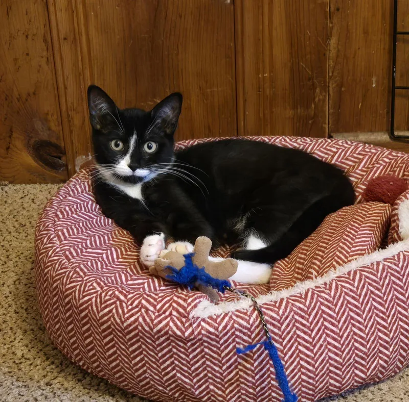 Dilly & Dally  thumbnail 3