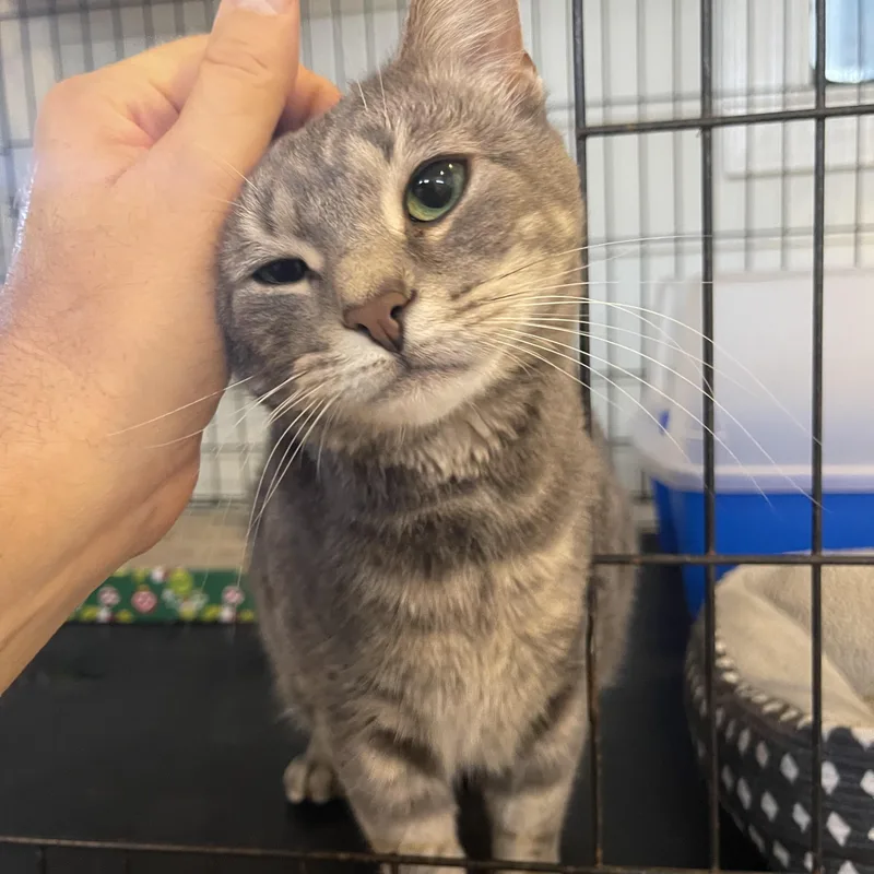 Princess thumbnail 3