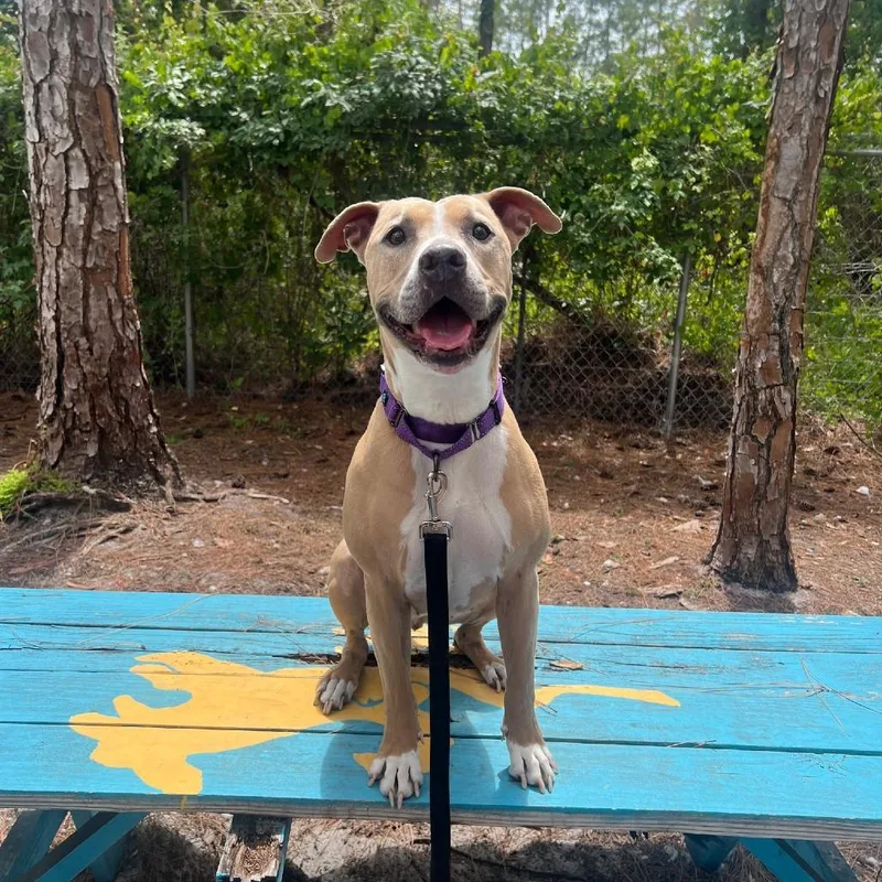 Betty Boo thumbnail 2