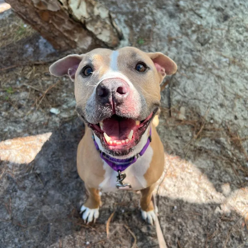 Betty Boo thumbnail 3