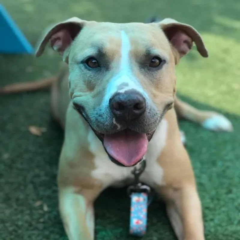 Betty Boo thumbnail 4