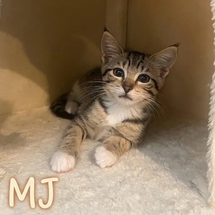 MJ...your friendly neighborhood cuddle thumbnail 2