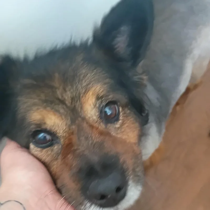 Mandy thumbnail 5