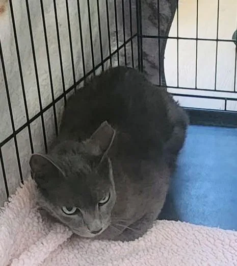 Mary Jane thumbnail 3