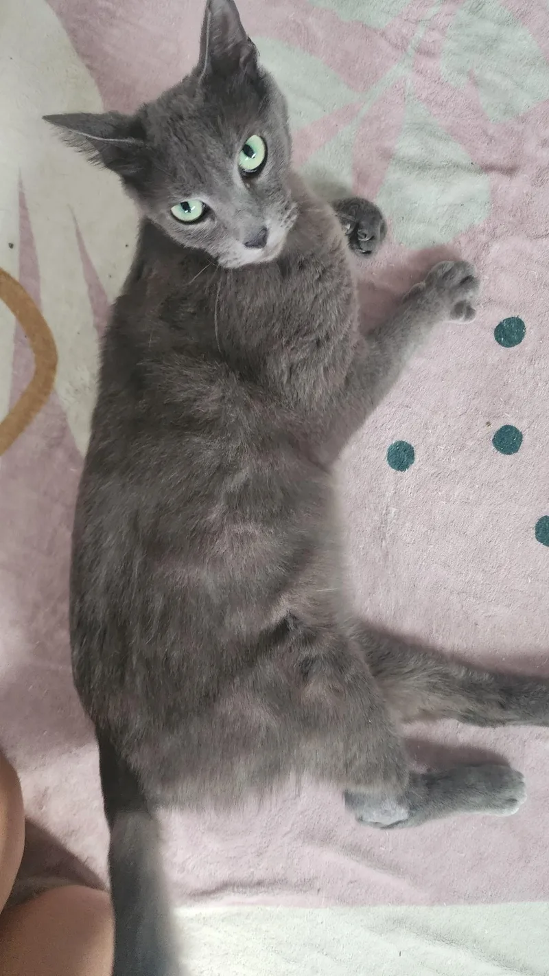 Mary Jane thumbnail 5