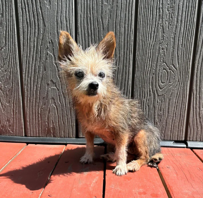 Hazel spunkylilgirl thumbnail 2