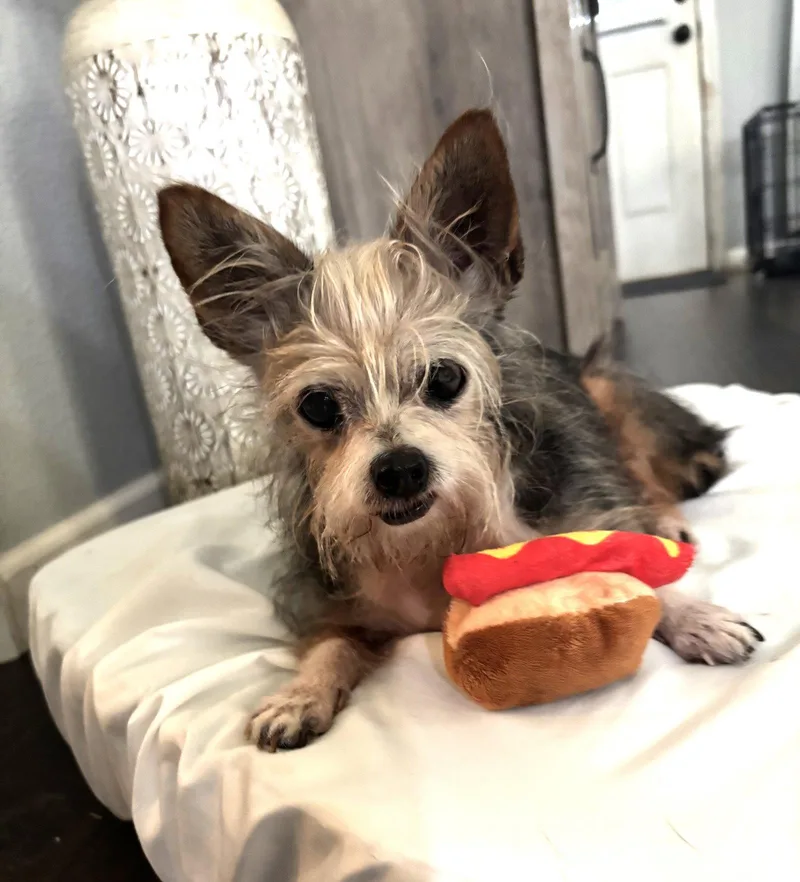 Hazel spunkylilgirl thumbnail 3