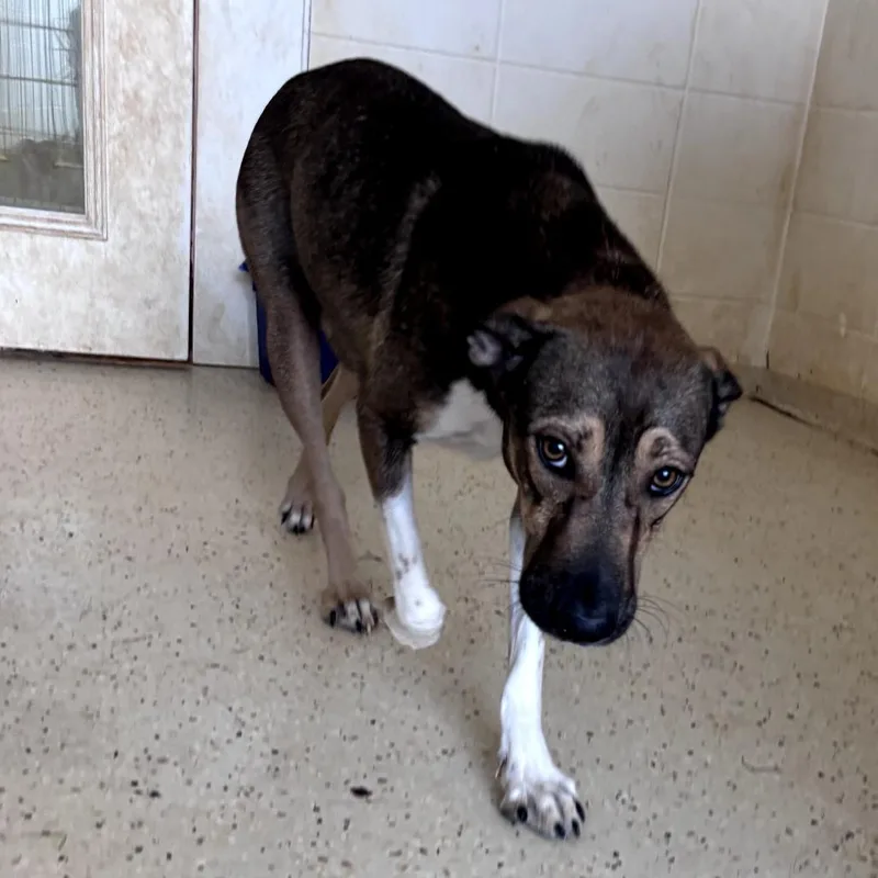 Samantha thumbnail 2