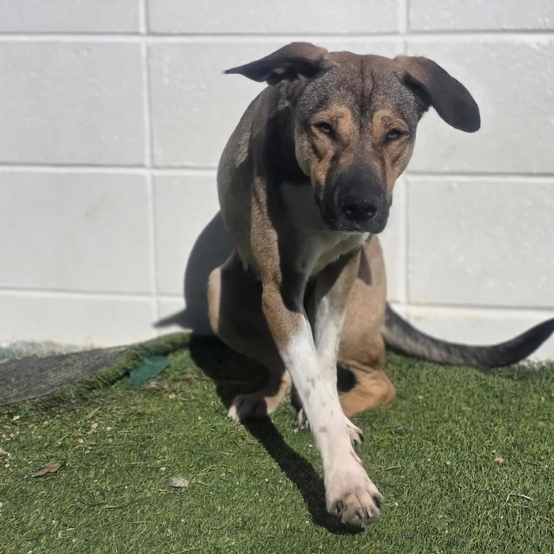 Samantha thumbnail 3