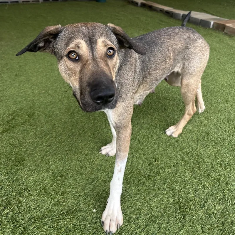 Samantha thumbnail 4