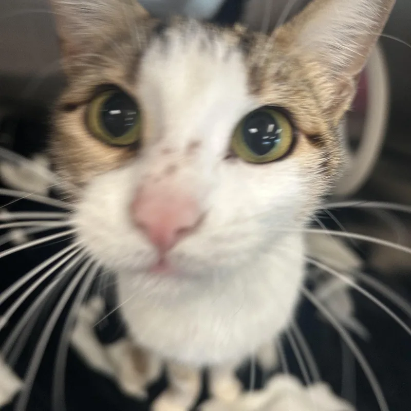 Zoey thumbnail 2