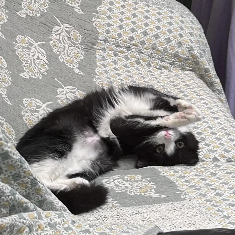 Snackable thumbnail 2