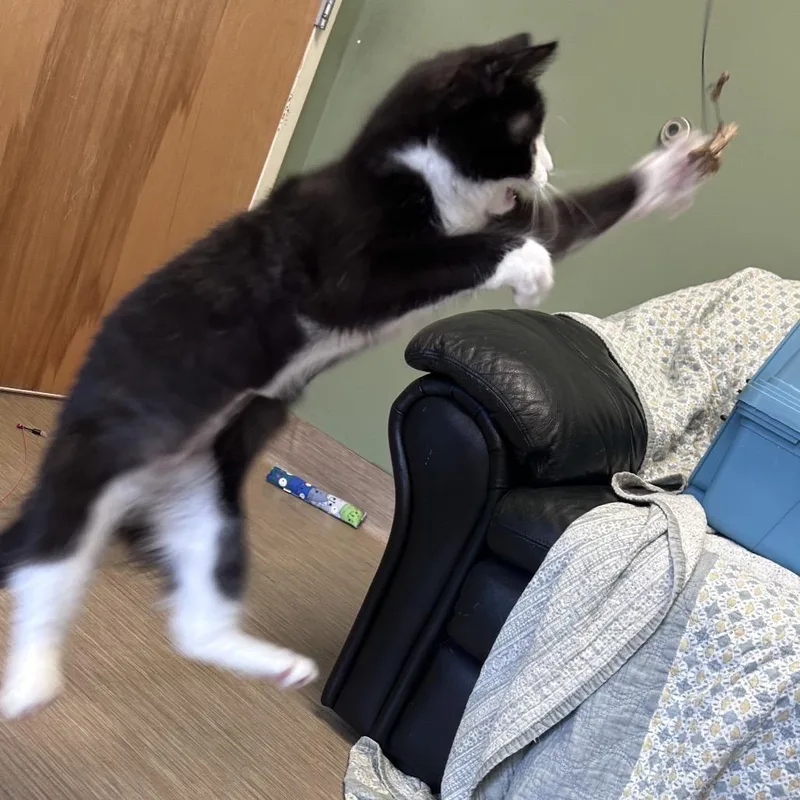 Snackable thumbnail 3