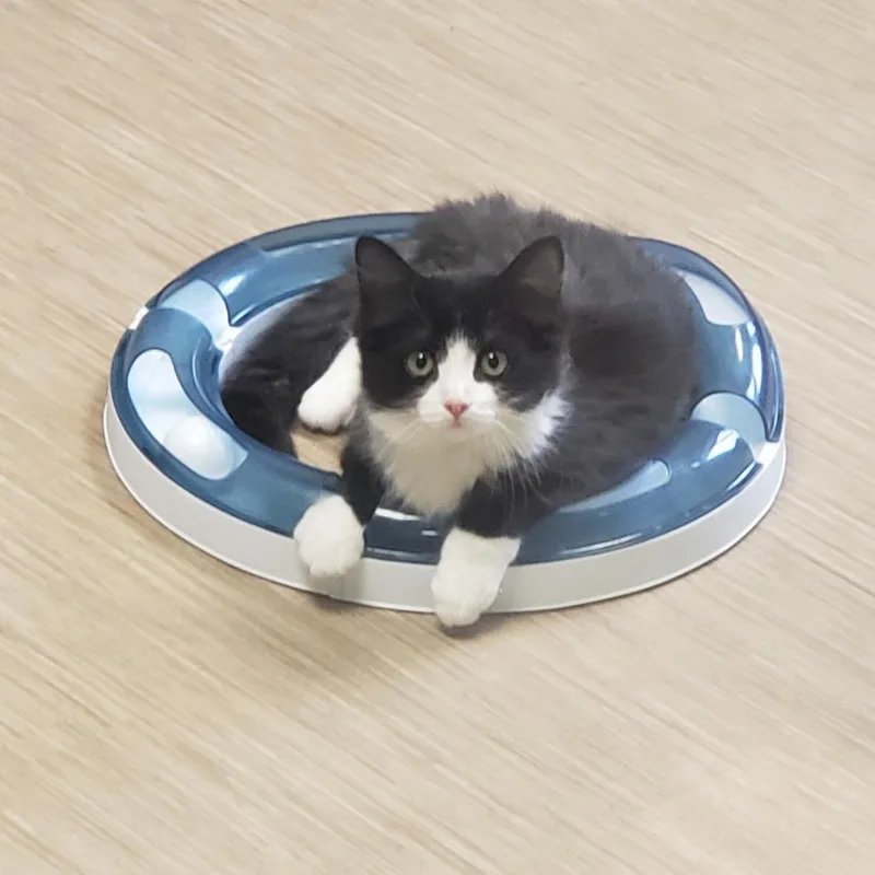 Snackable thumbnail 4