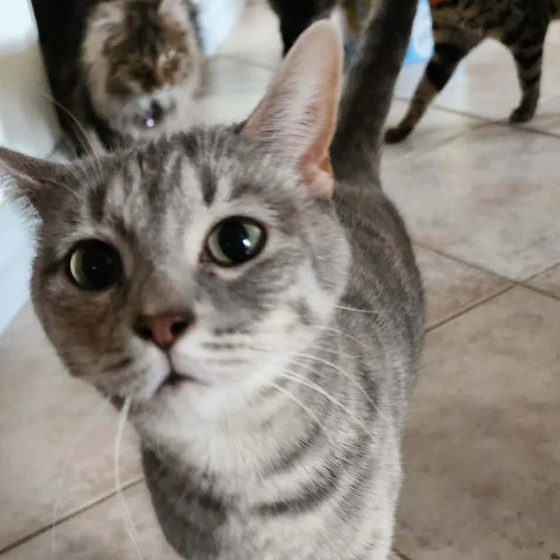 Little Missy Rickard