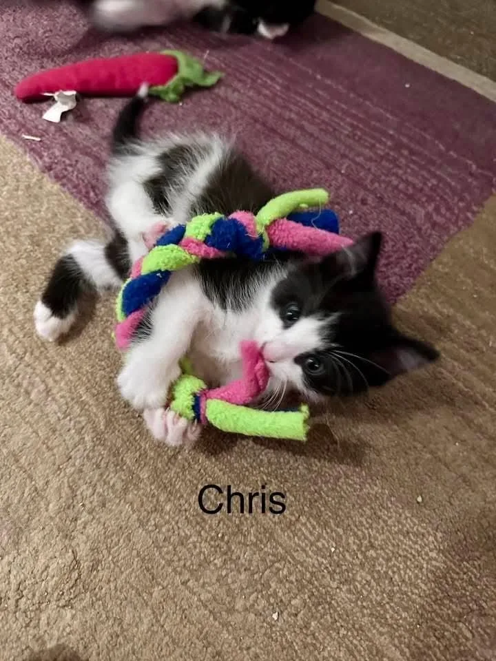 Chris thumbnail 2