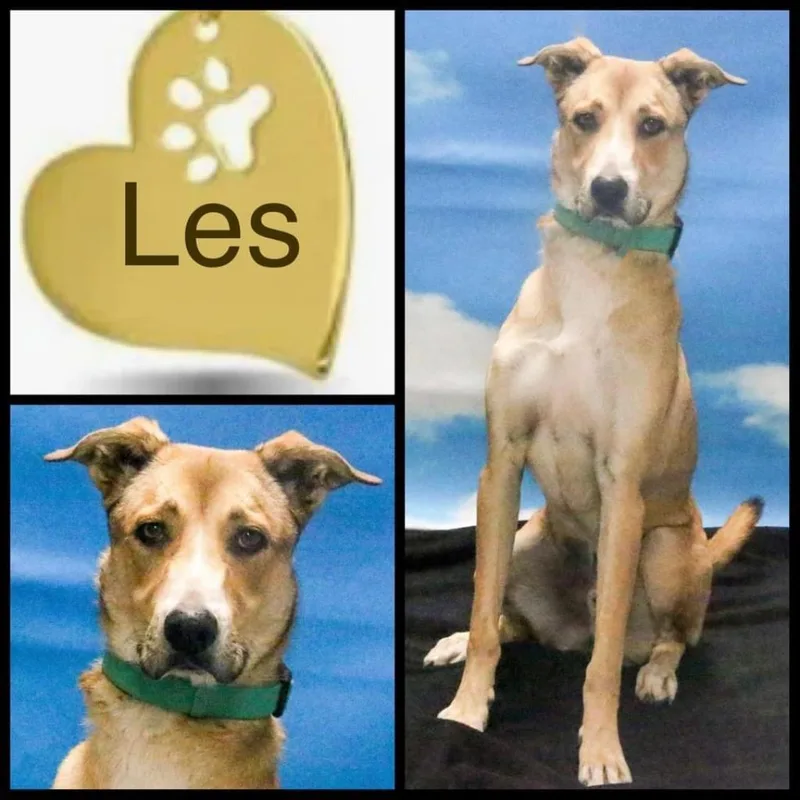 Les