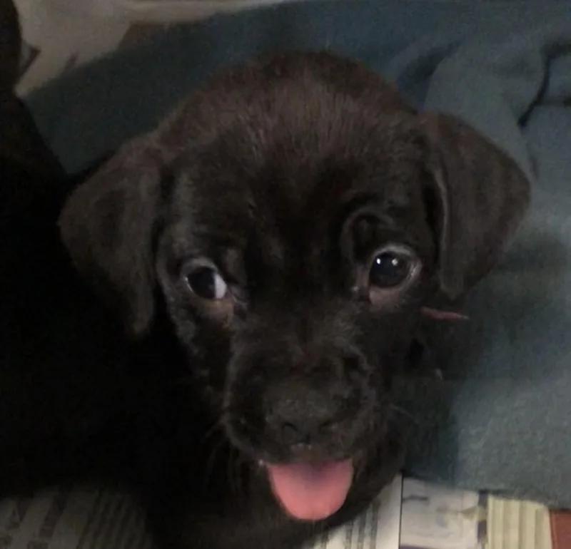 Maggie