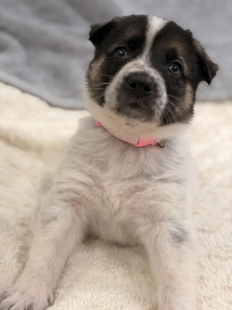 Mercedes thumbnail 3