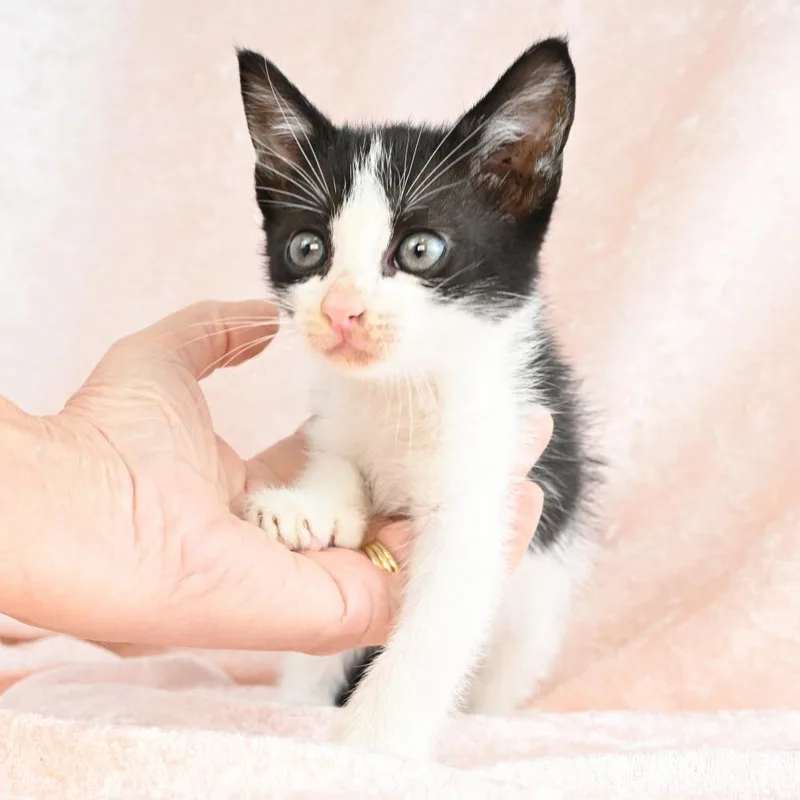 Maggie thumbnail 3