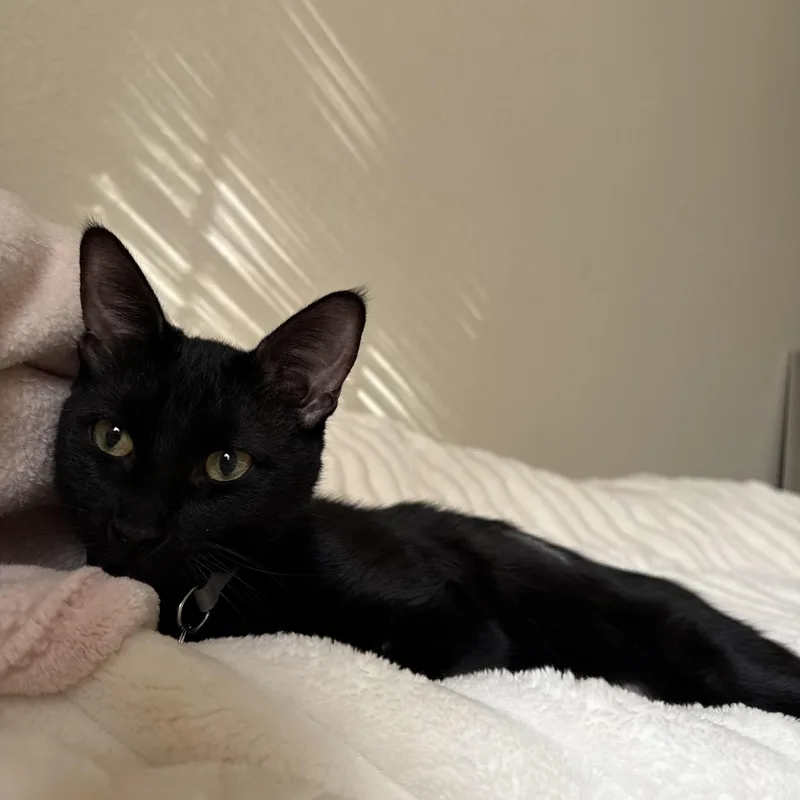 Mavis & Poppy thumbnail 2